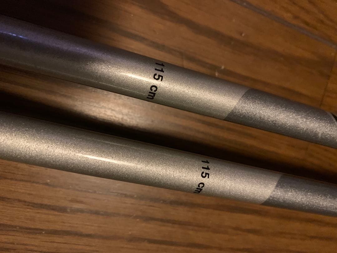 スキー ATOMIC m2tron 161 + LEKI DEMO CARBON PRO