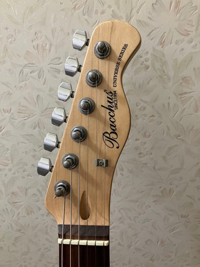 BACCHUS バッカス universe series テレキャスター 整備済