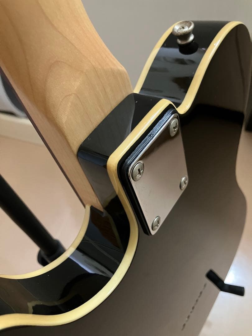 BACCHUS バッカス universe series テレキャスター 整備済