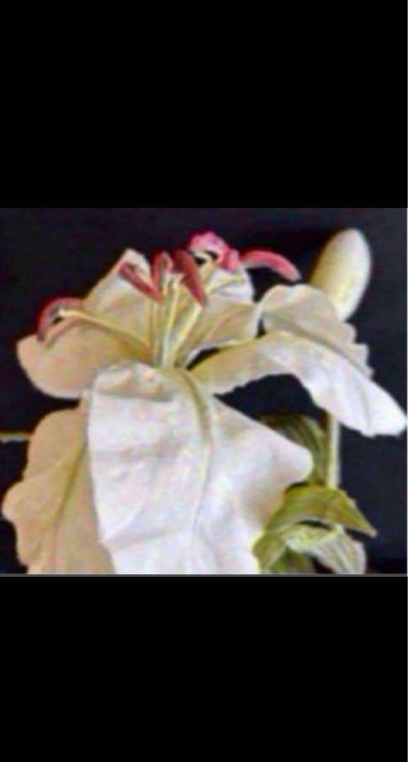 花　アートフラワーブーケ　アートフラワー　オリエンタルリリー　5