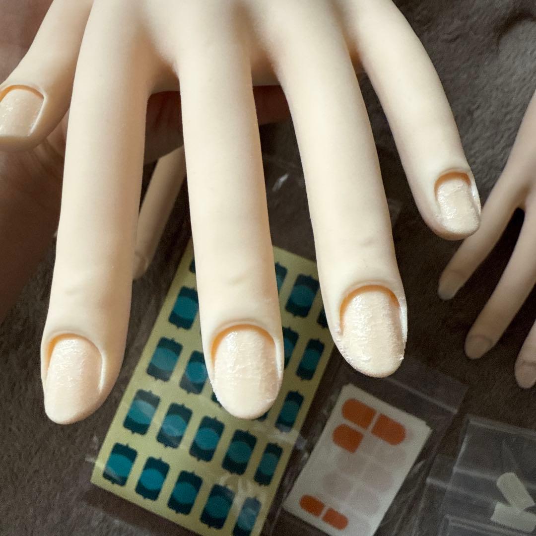 ネイル 認定モデルハンド セット 検定