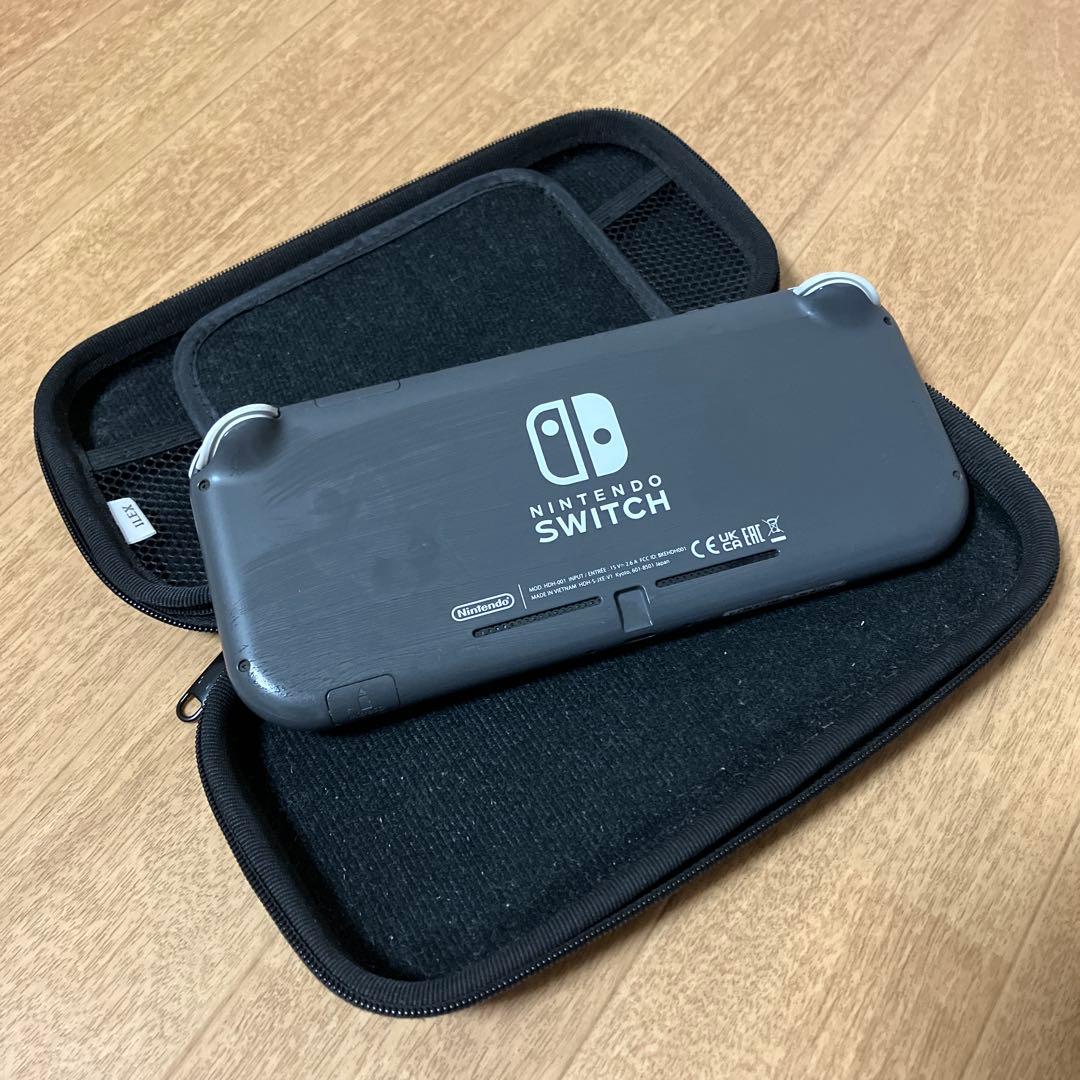 switchライト本体