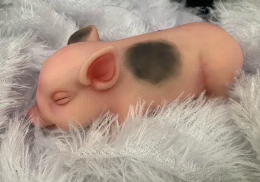 リボーンドール 豚 かわいいですね