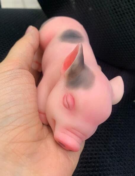 リボーンドール 豚 かわいいですね