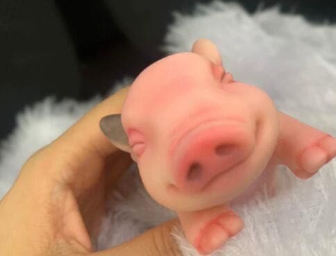 リボーンドール 豚 かわいいですね