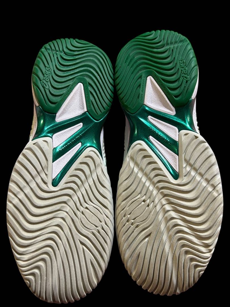 asics コートff ジョコビッチモデル　25.5cm