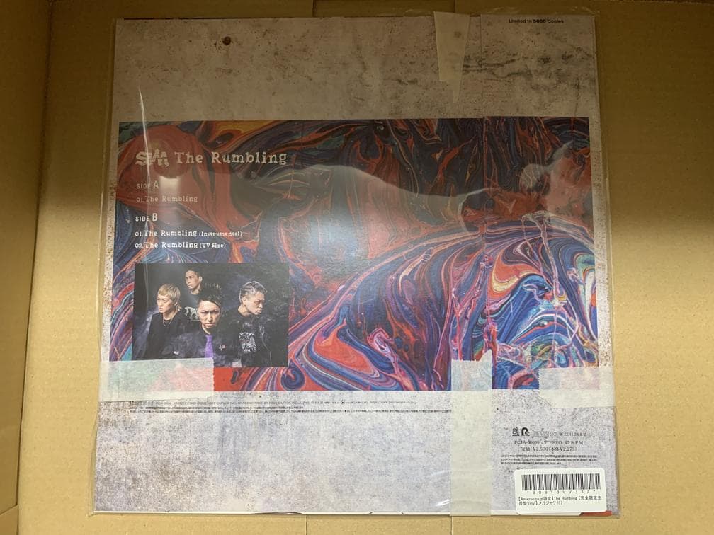 SiM The Rumbling 完全限定生産盤Vinyl LP レコード