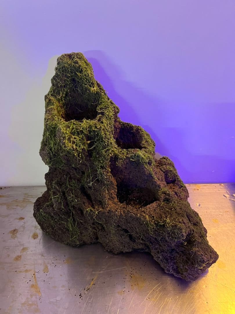 ADA 雲山石XLとLの２個セット