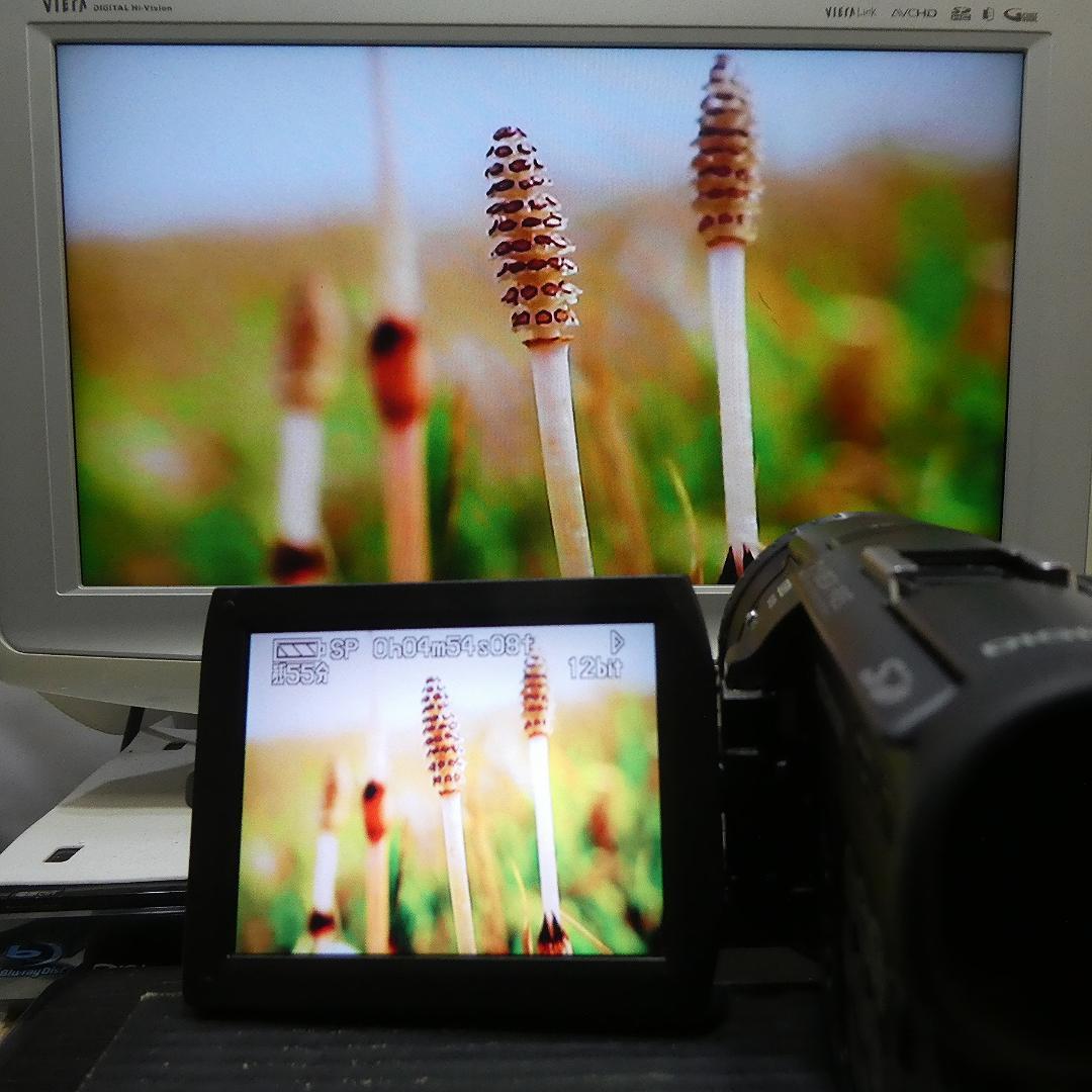 美品・動作良好 パナソニックNV-GS100 MiniDVビデオ　DVD化に最適