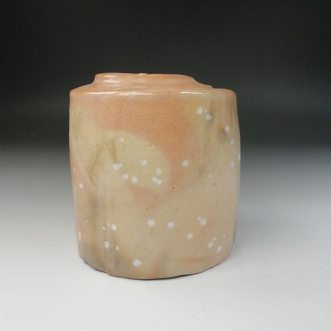 Ｔ６４５　茶碗　『光悦写　雪片』『佐々木昭楽 造』　共箱　抹茶碗　茶道具