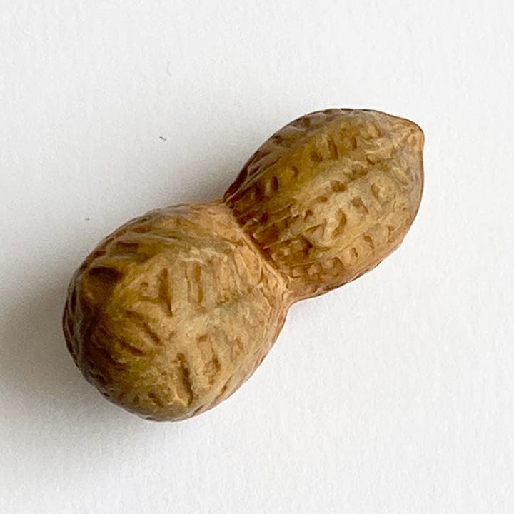 伊勢根付・『落花生』朝熊黄楊・『正昭』在銘・提げ物