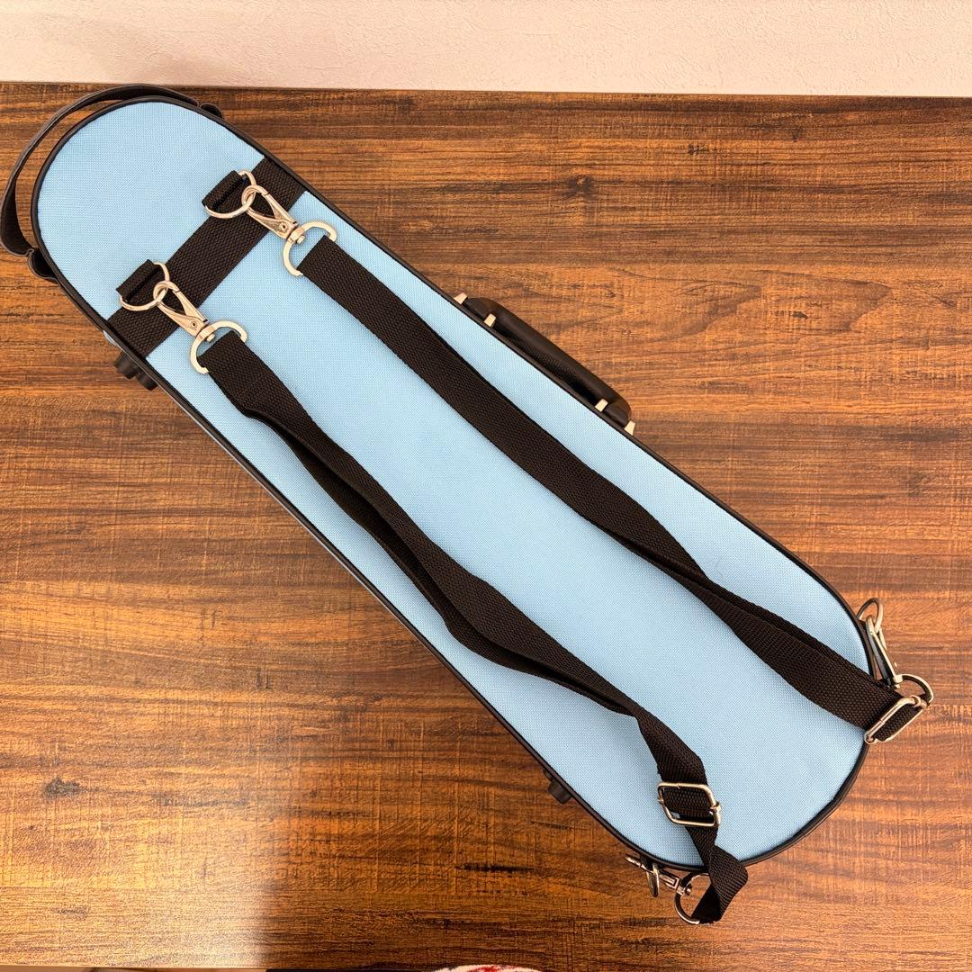 【美品】Carlo giordano VS-1 1/10 カルロジョルダーノ