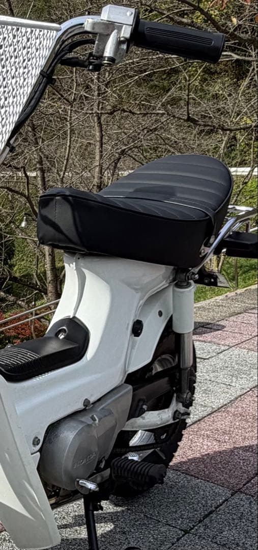 角目シャリー　シート