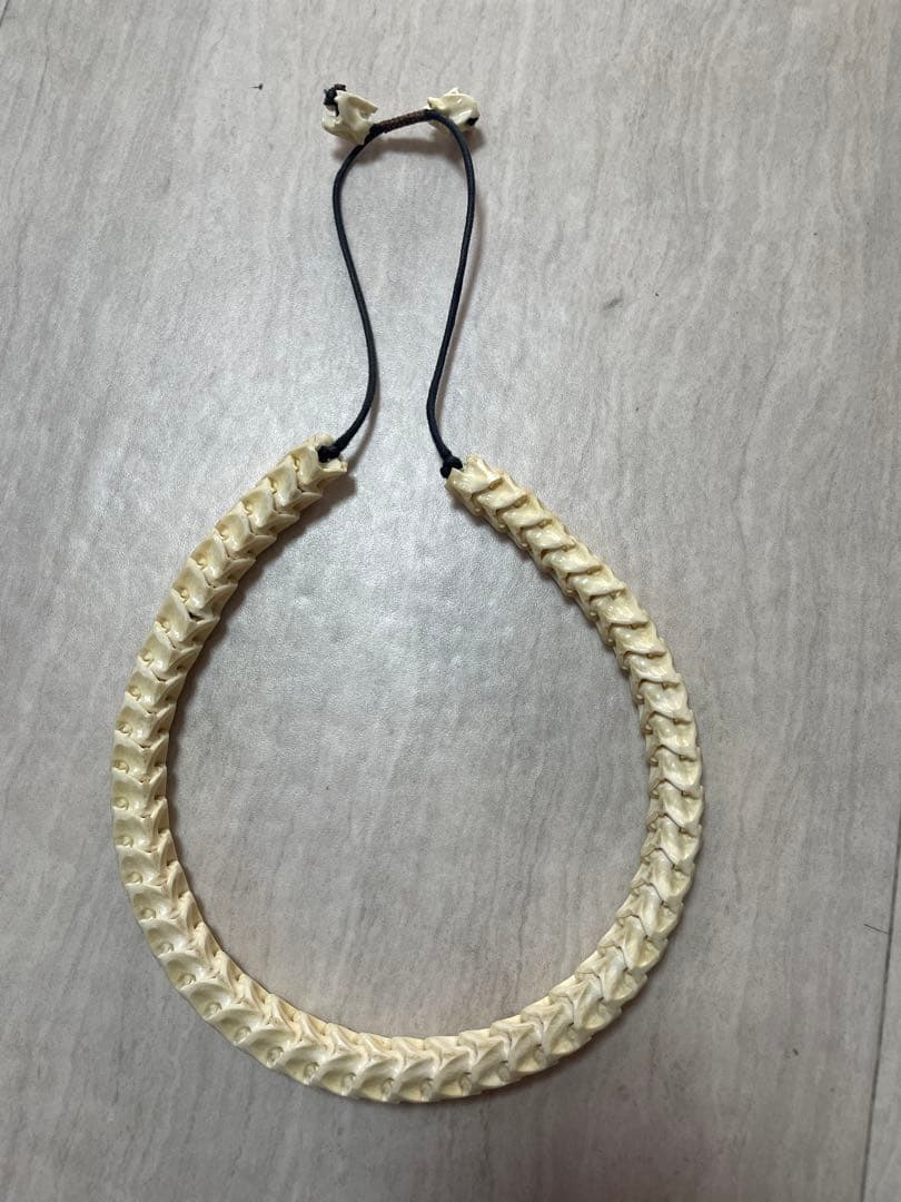 最終値下げ イフシックスワズナイン⁈ 蛇骨ネックレス