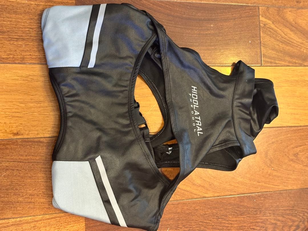 HIDOLATRAL THEODOLサイバージャージスイムウェア