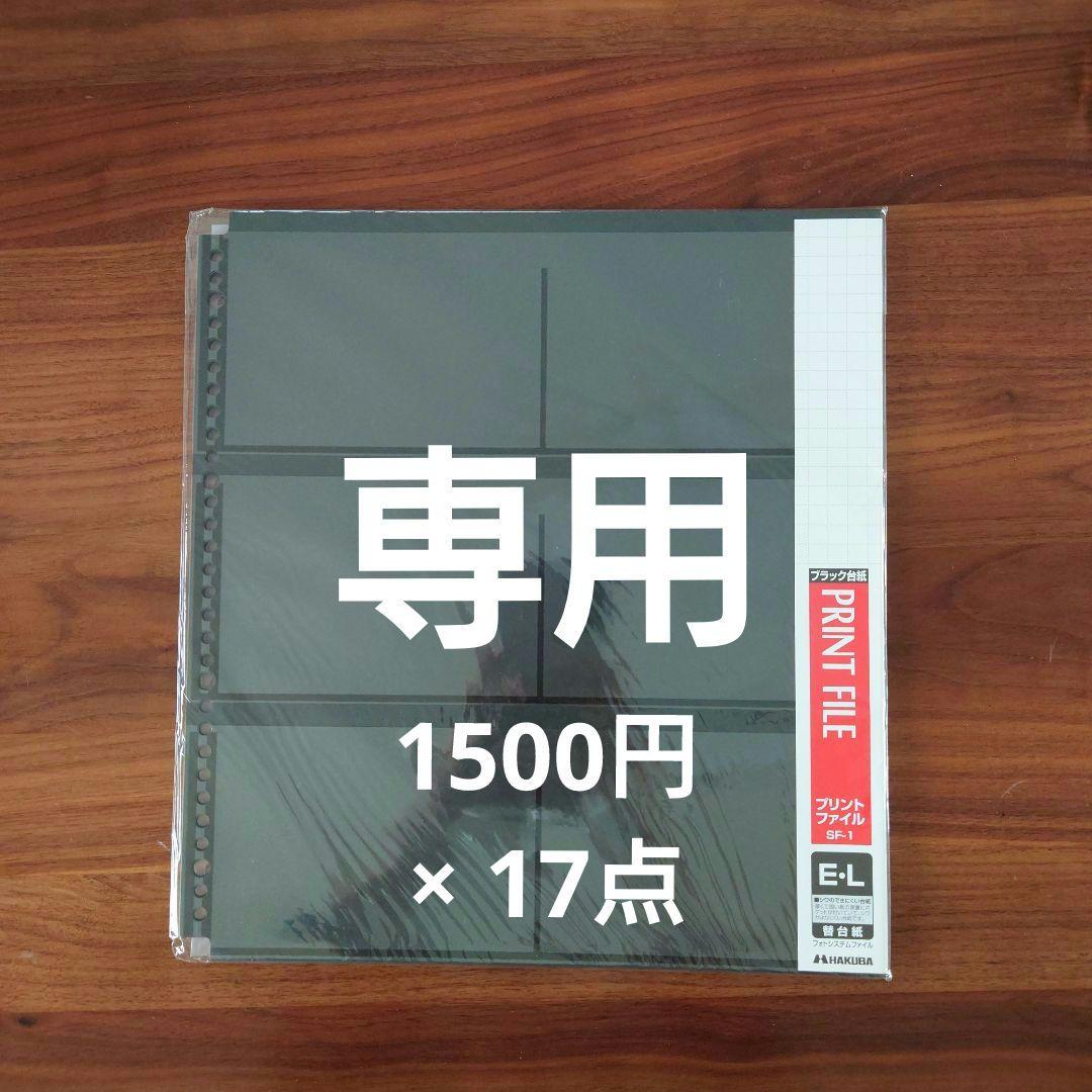 【専用】ハクバ HAKUBA フォトシステムファイル SF-1 ELプリント用黒
