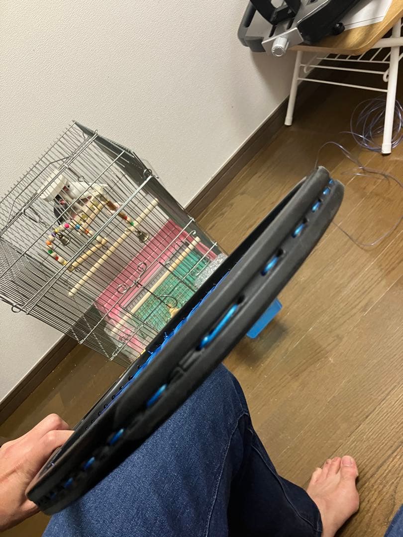 Prince ファントムグラファイト97 2022 g3