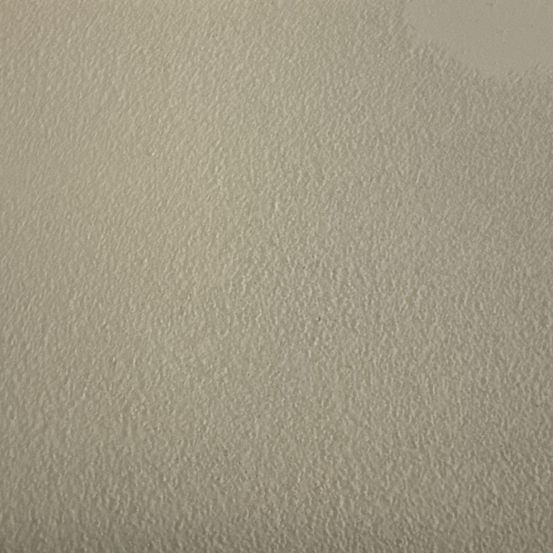 テント・タープ evergreenmusic