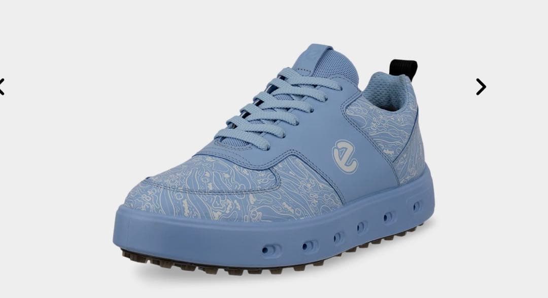 美品！ECCO Golf Street 720 Graphic ゴルフシューズ