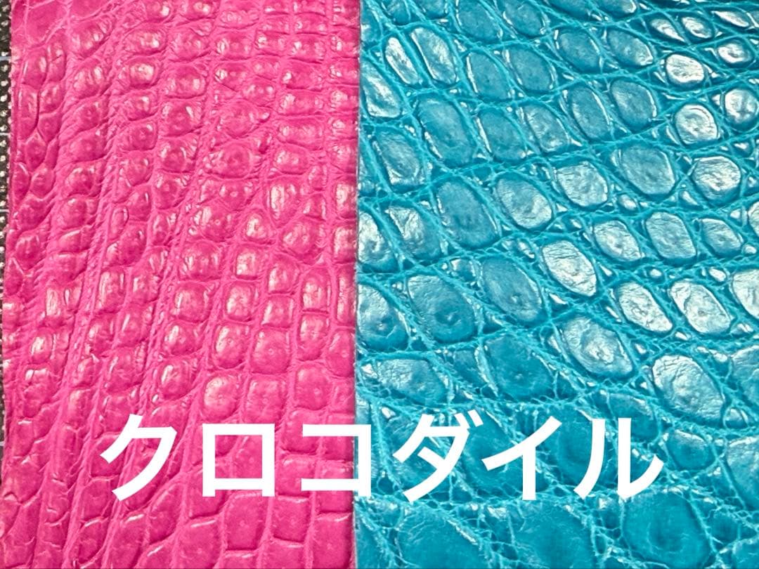 Sakanaページです!