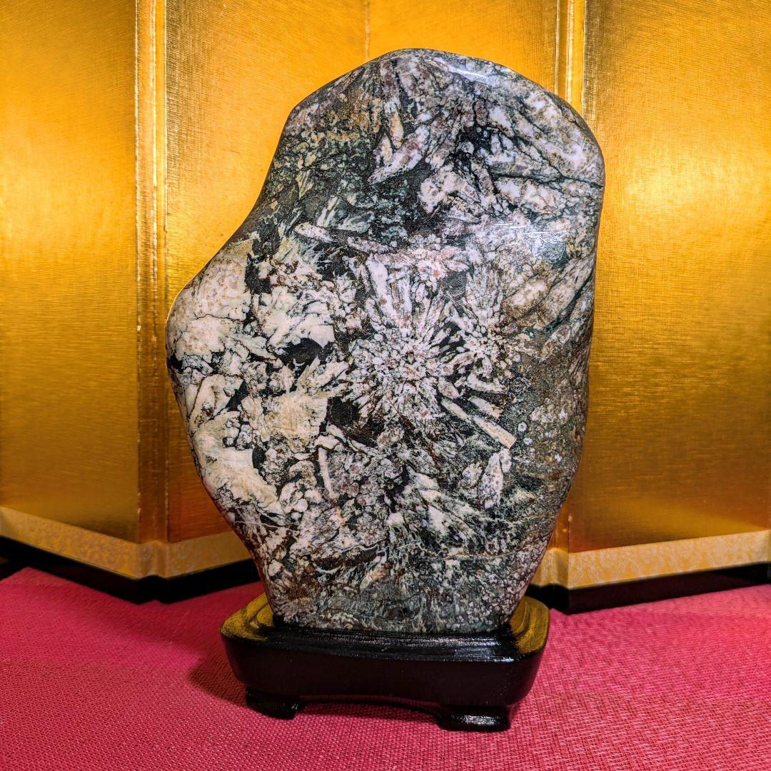 菊花石 縦横型 岐阜県根尾谷産4.8㌔ 鑑賞石 観賞石 水石 盆石 天然石 置物