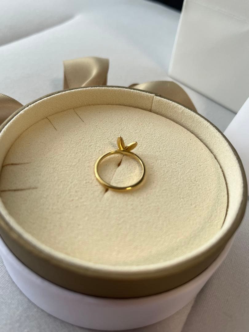 MAHKAH パピヨンブリリアンパヴェリング