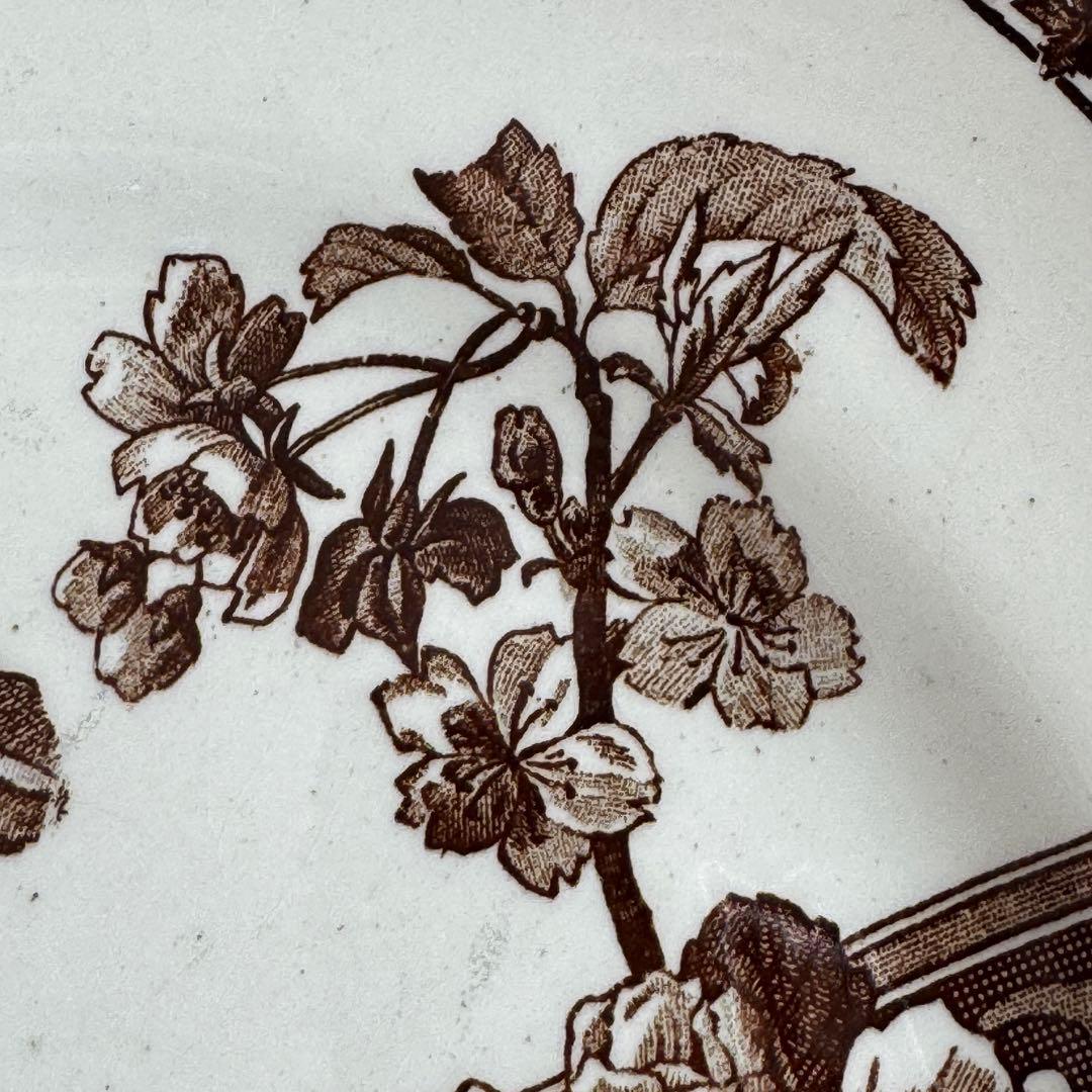 フランスアンティーク　E.Bourgeois エミールブルジョワ　ディナー皿