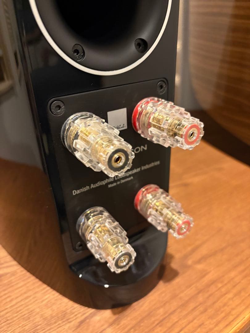 DALI EPICON2 MH （ウォルナット）