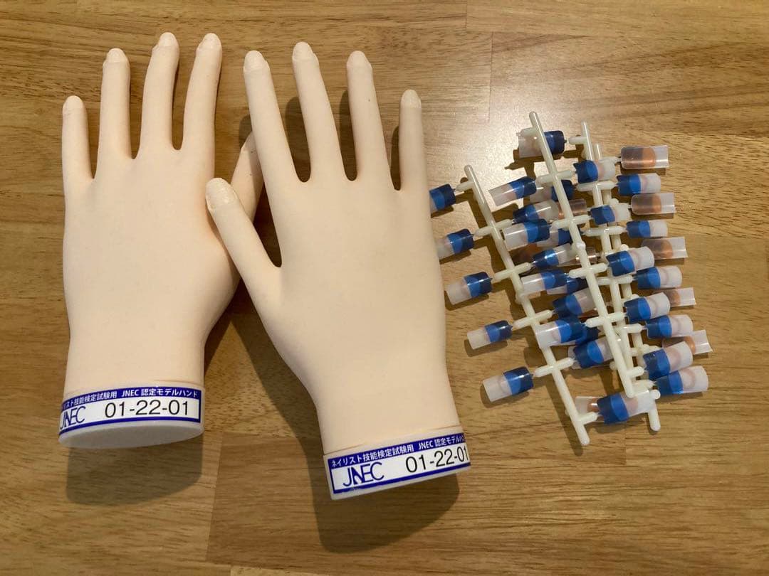 ネイリスト検定　JNEC認定モデルハンド両手