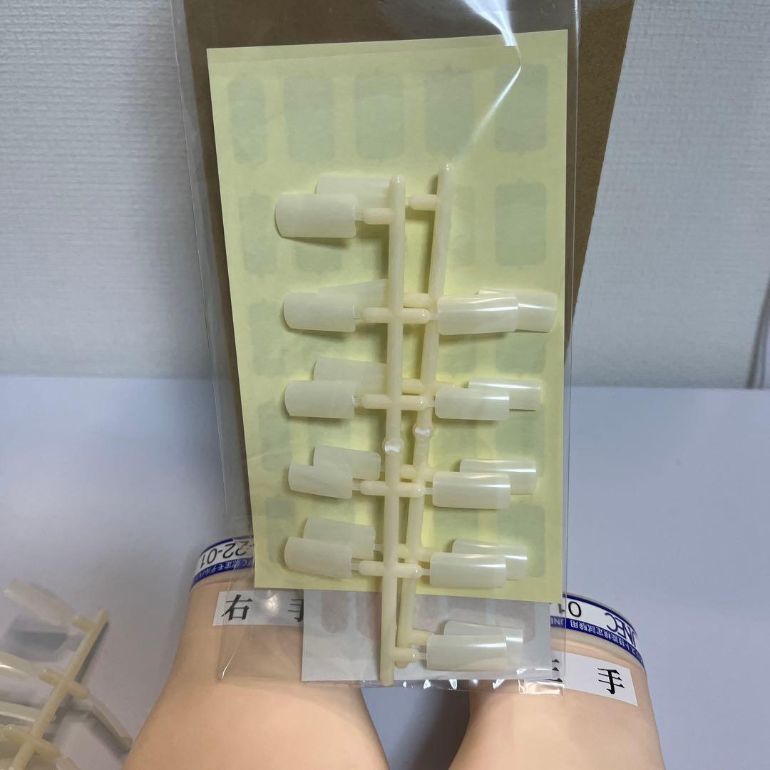 美品　タキガワ　JNEC認定モデルハンド　検定用認定ハンド　STモデルハンド