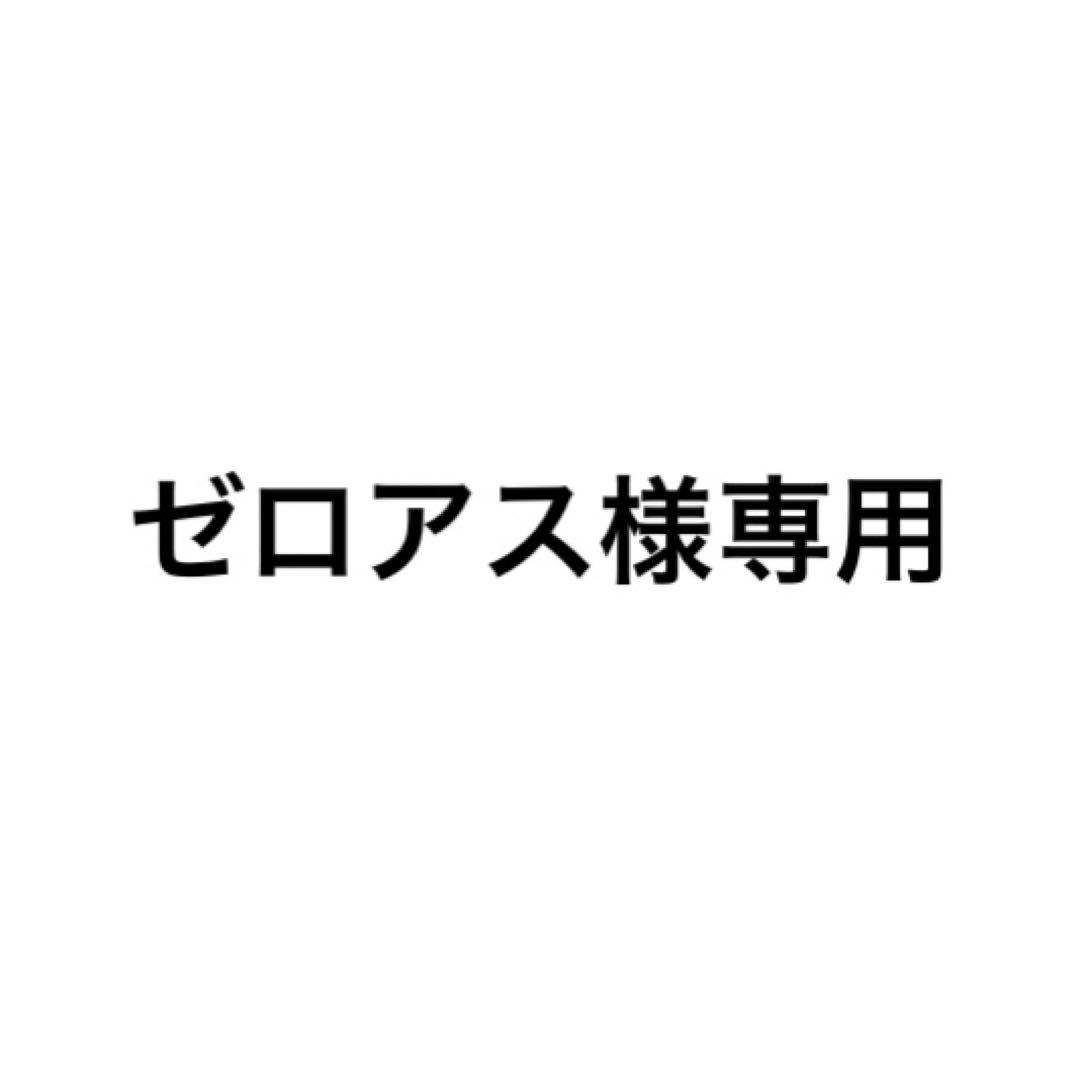 ゼロアス Nプロジェクト　ビキニカウル　イナズマ400