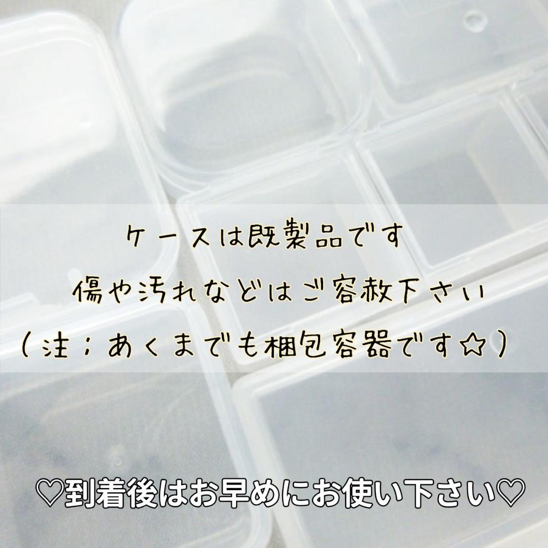 あ様◆【ドライフラワー】花びらのカケラMIX （ 828 パーツ レジン 小花）