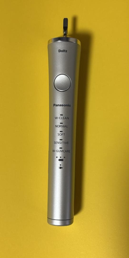 パナソニック 音波振動ハブラシ ドルツ 海外両用 EW-DP57-S