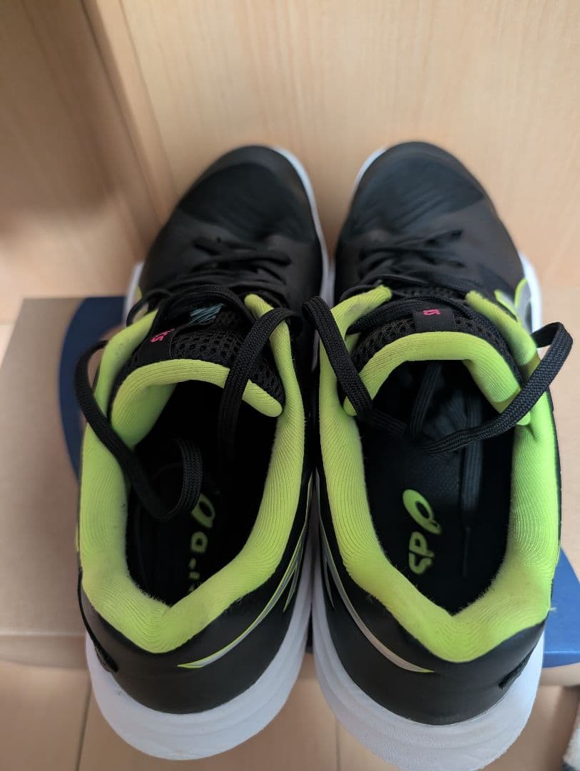 スカイエリート FF 3 スポーツデポ・アルペン限定カラー 27センチ