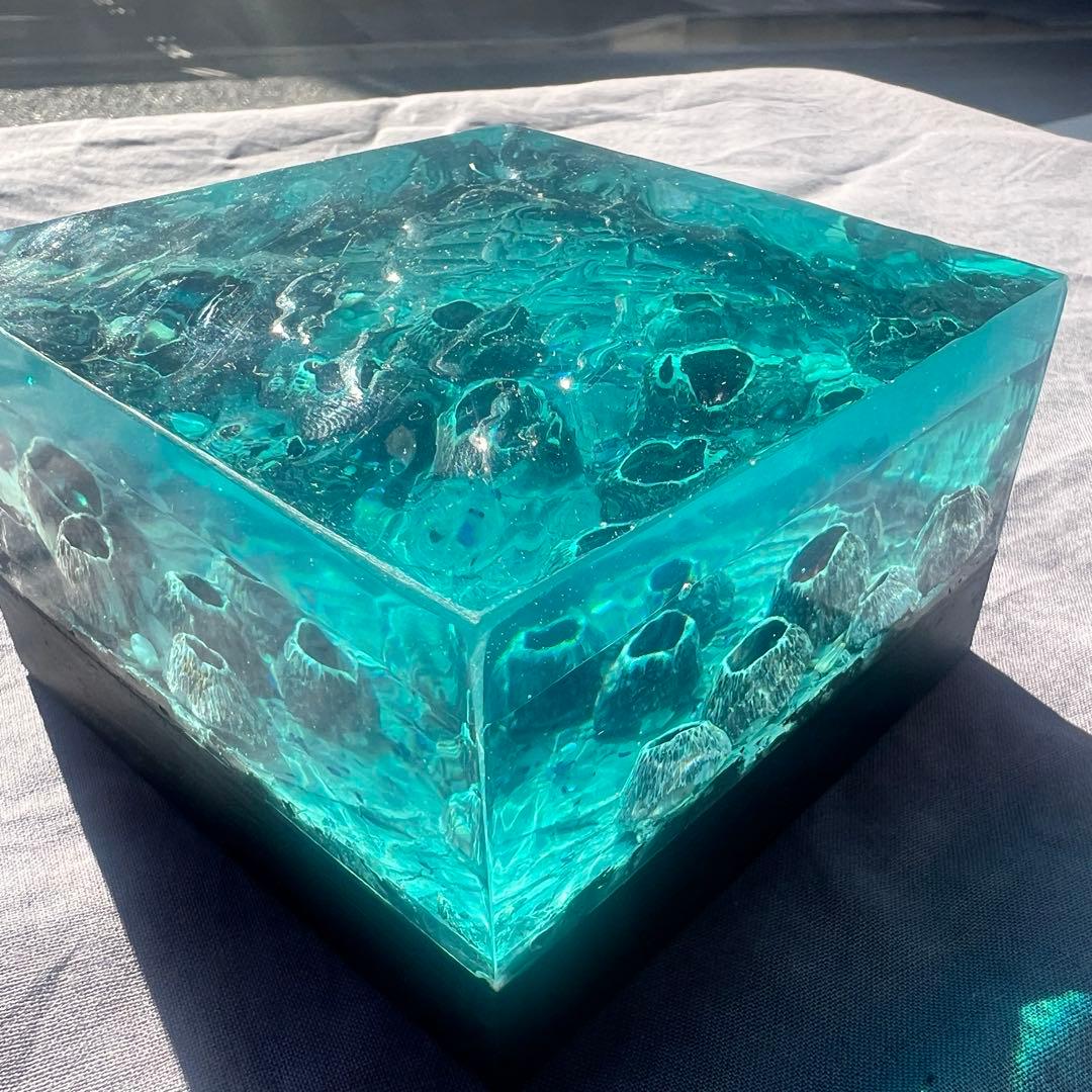 【波紋アート】Real Ocean／barnacle／フジツボ／10cmプリズム