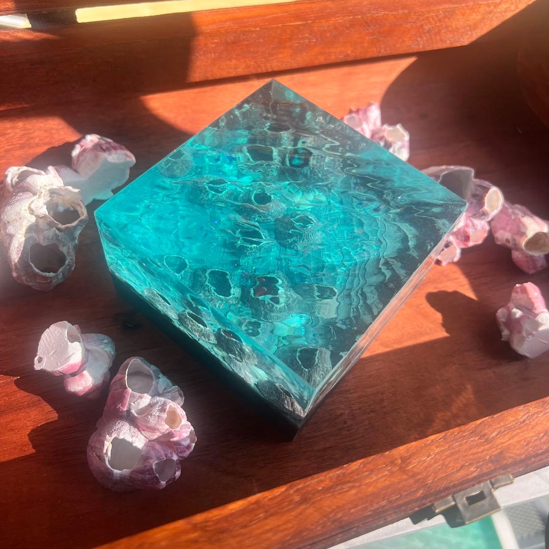 【波紋アート】Real Ocean／barnacle／フジツボ／10cmプリズム