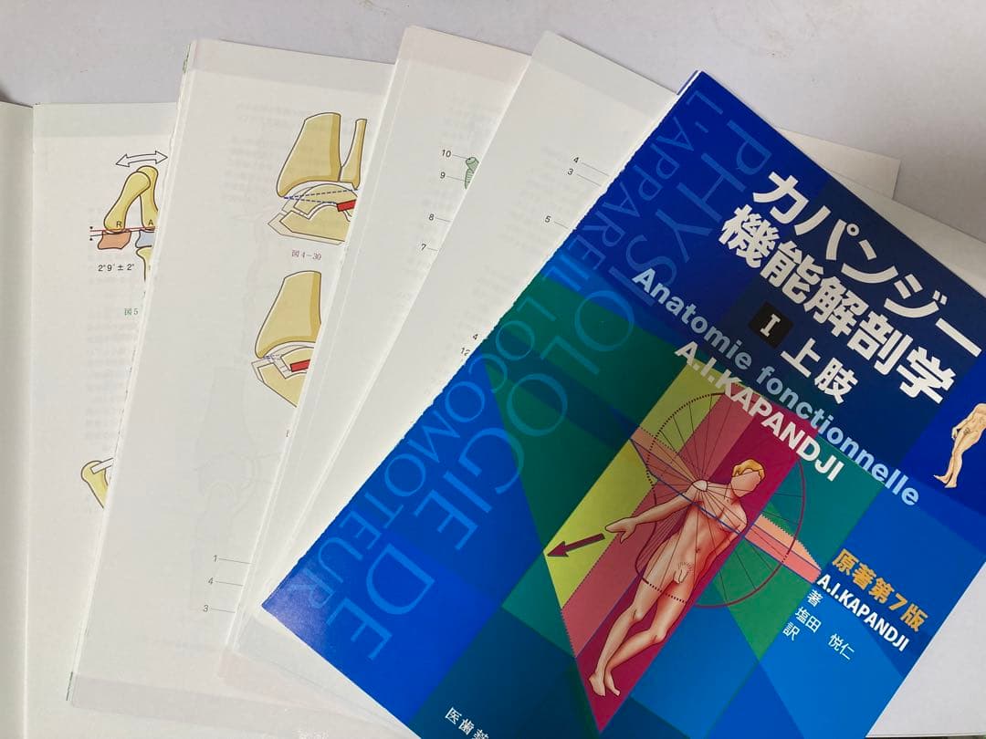 カパンジー機能解剖学 第7版 (I上肢,II 下肢,III 脊椎・体幹・頭部)