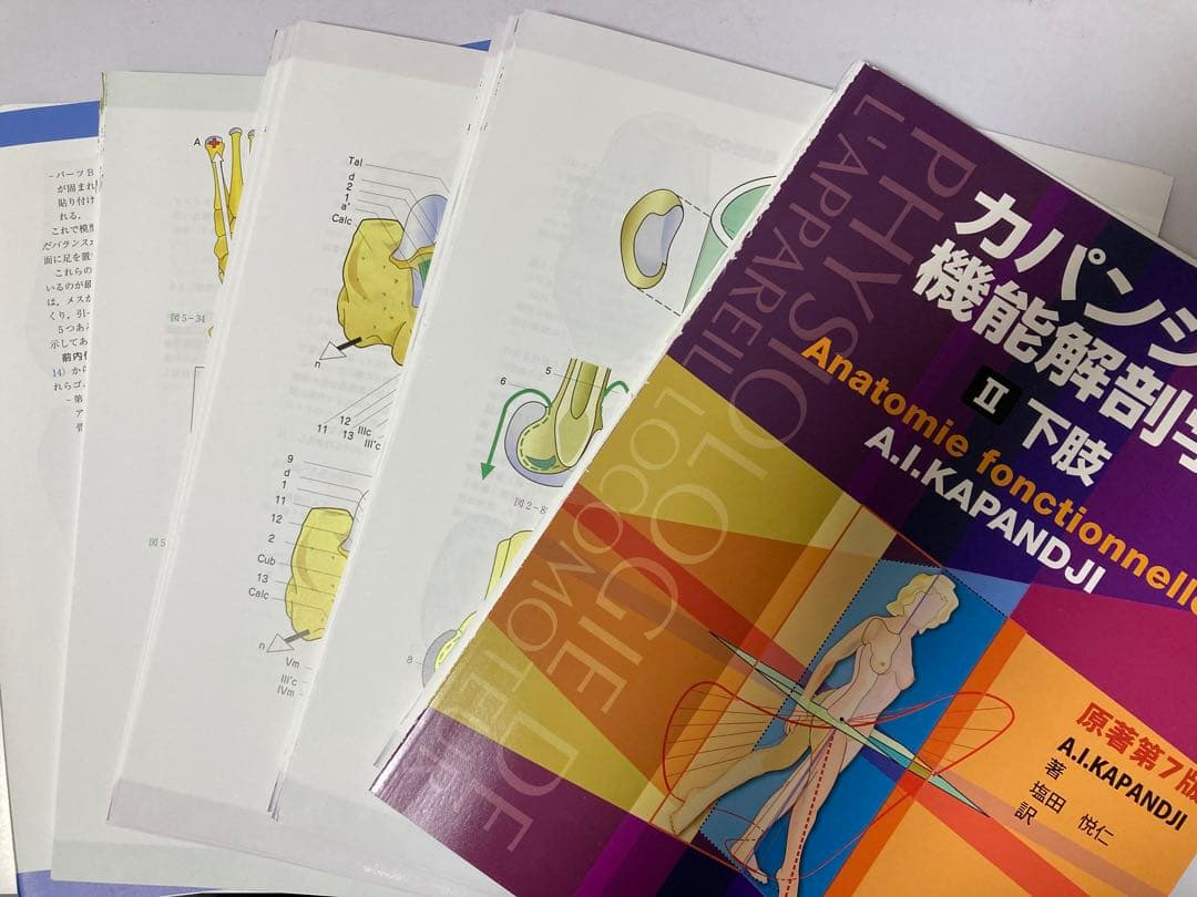 カパンジー機能解剖学 第7版 (I上肢,II 下肢,III 脊椎・体幹・頭部)