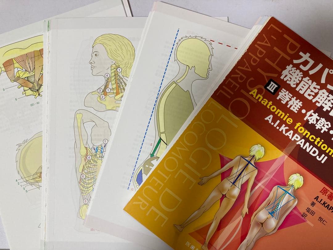 カパンジー機能解剖学 第7版 (I上肢,II 下肢,III 脊椎・体幹・頭部)