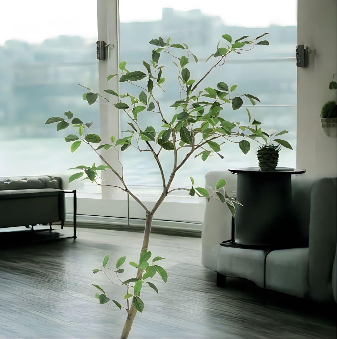 光触媒　人工観葉植物　ウォールグリーン　フェイクグリーン　ガジュマル150FST