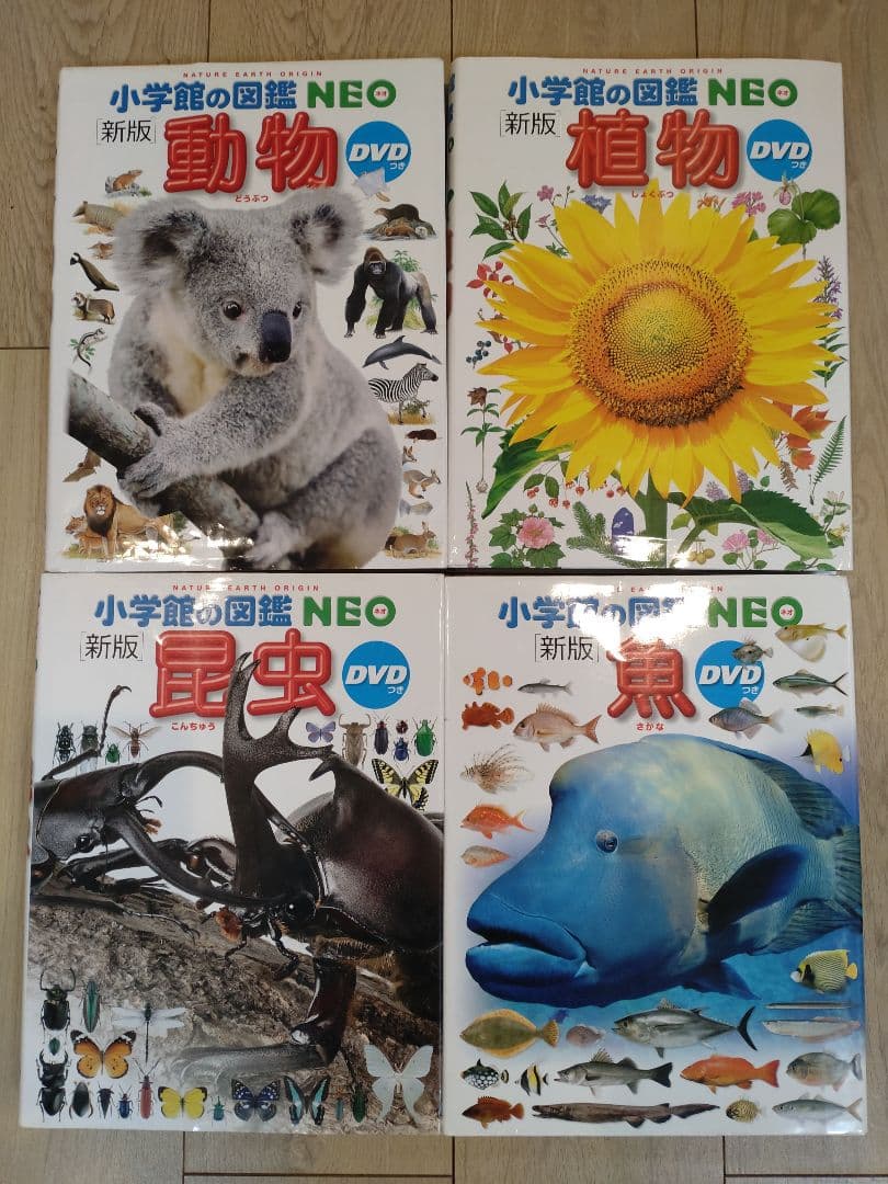 小学校の図鑑 NEO DVD　12冊セット