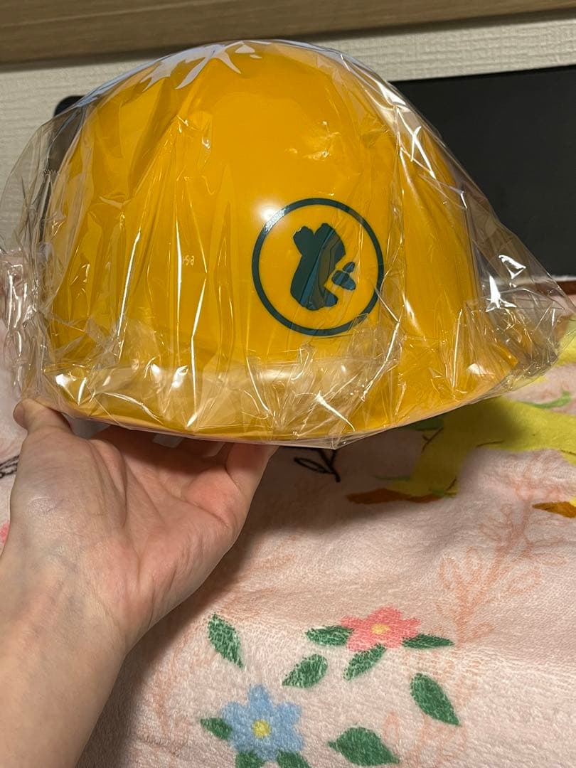 【未開封・巾着付き】水曜どうでしょう　ヘルメット