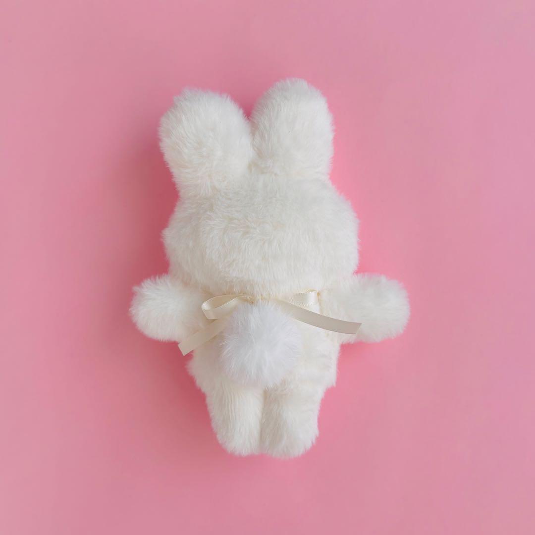 あざと過ぎる？スタイちゃん♡手のひらサイズのぬいぐるみ④