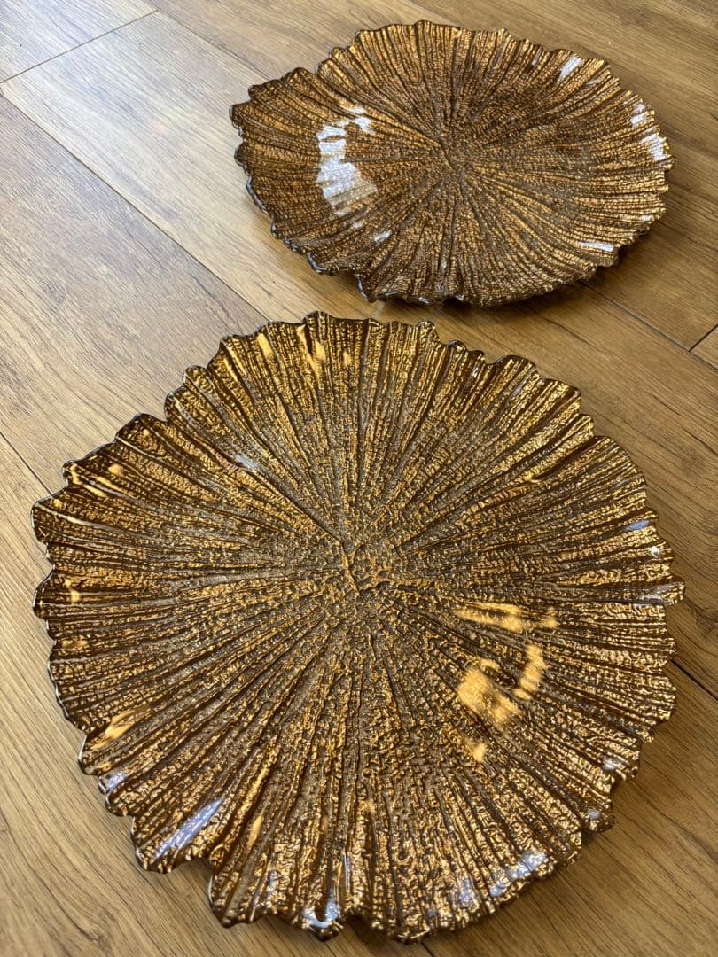 メゾンドゥファミーユ 大皿 2枚 メインディッシュ チャージャープレート 希少