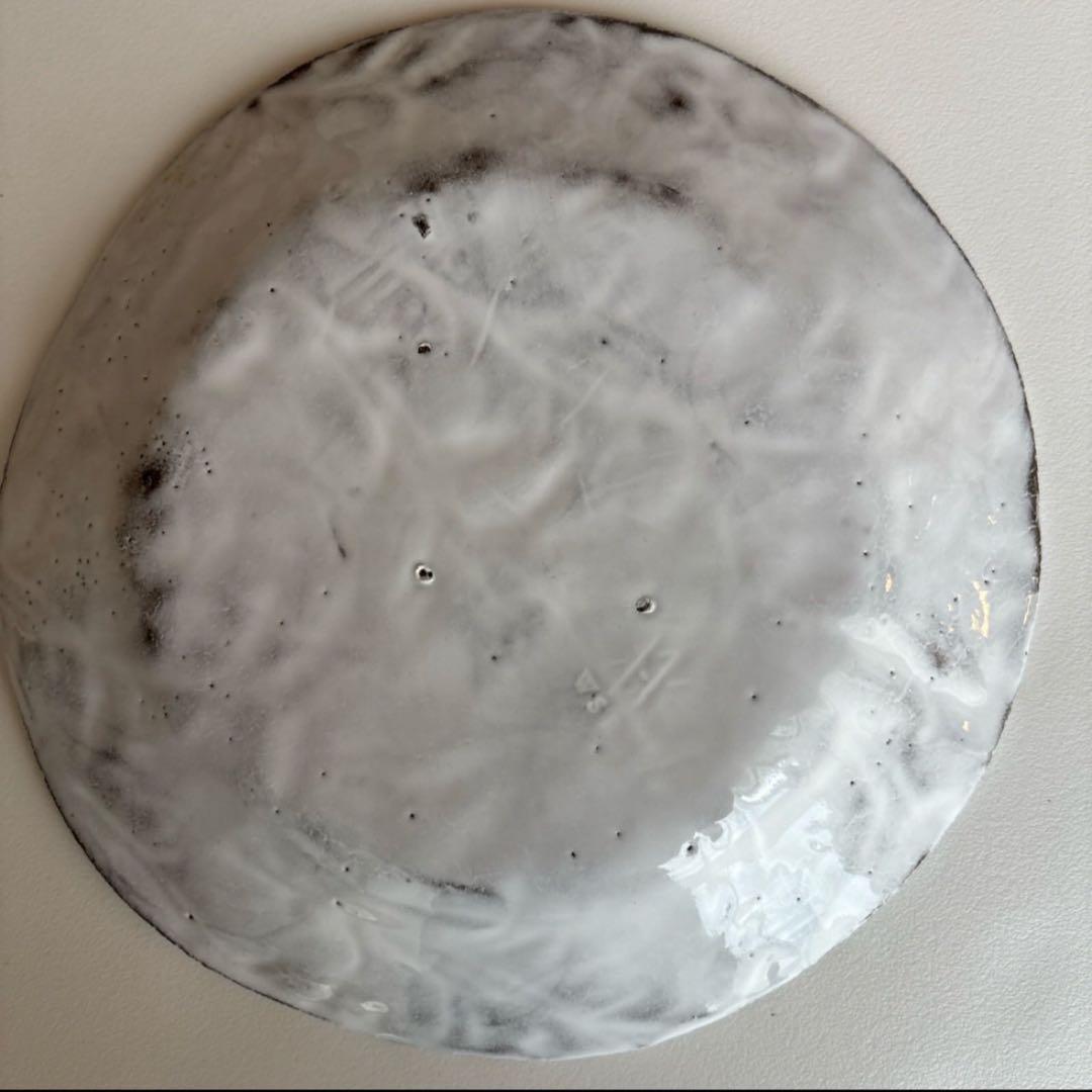 アスティエ　ロビンソン ディナープレート 26cm