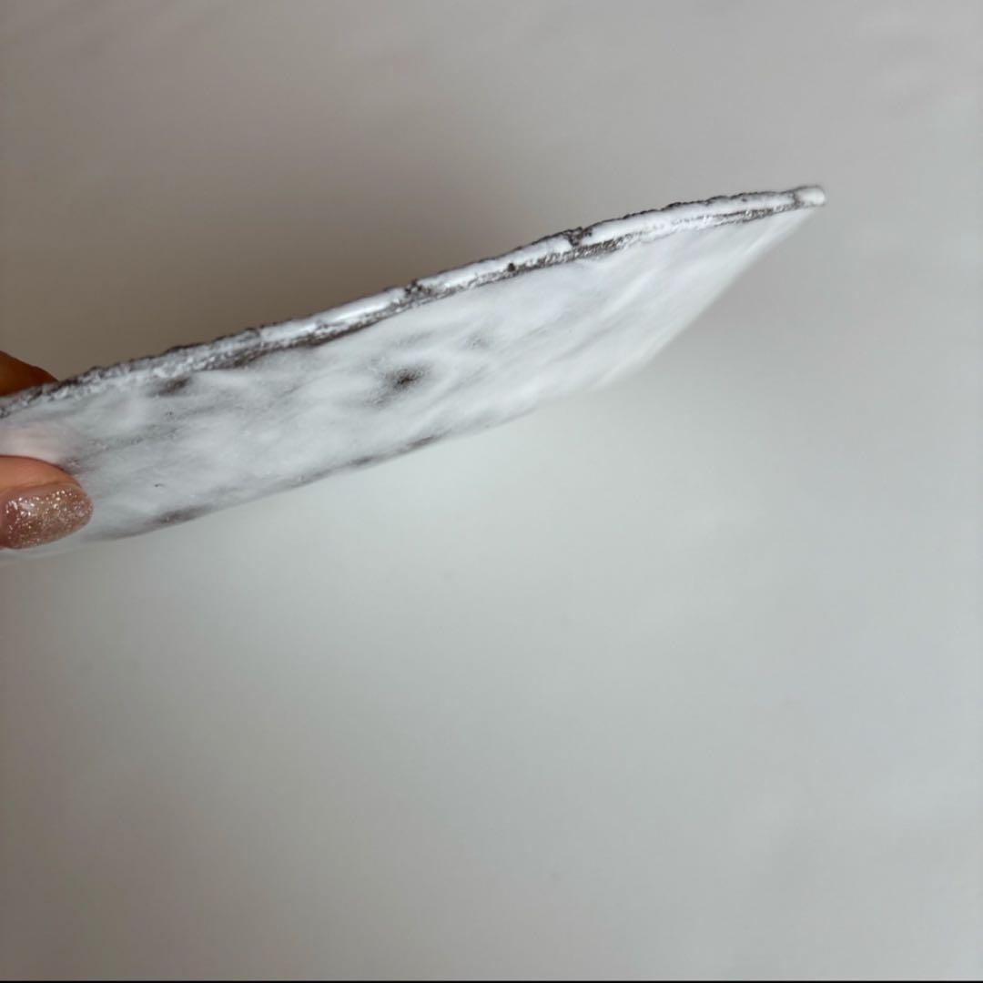 アスティエ　ロビンソン ディナープレート 26cm