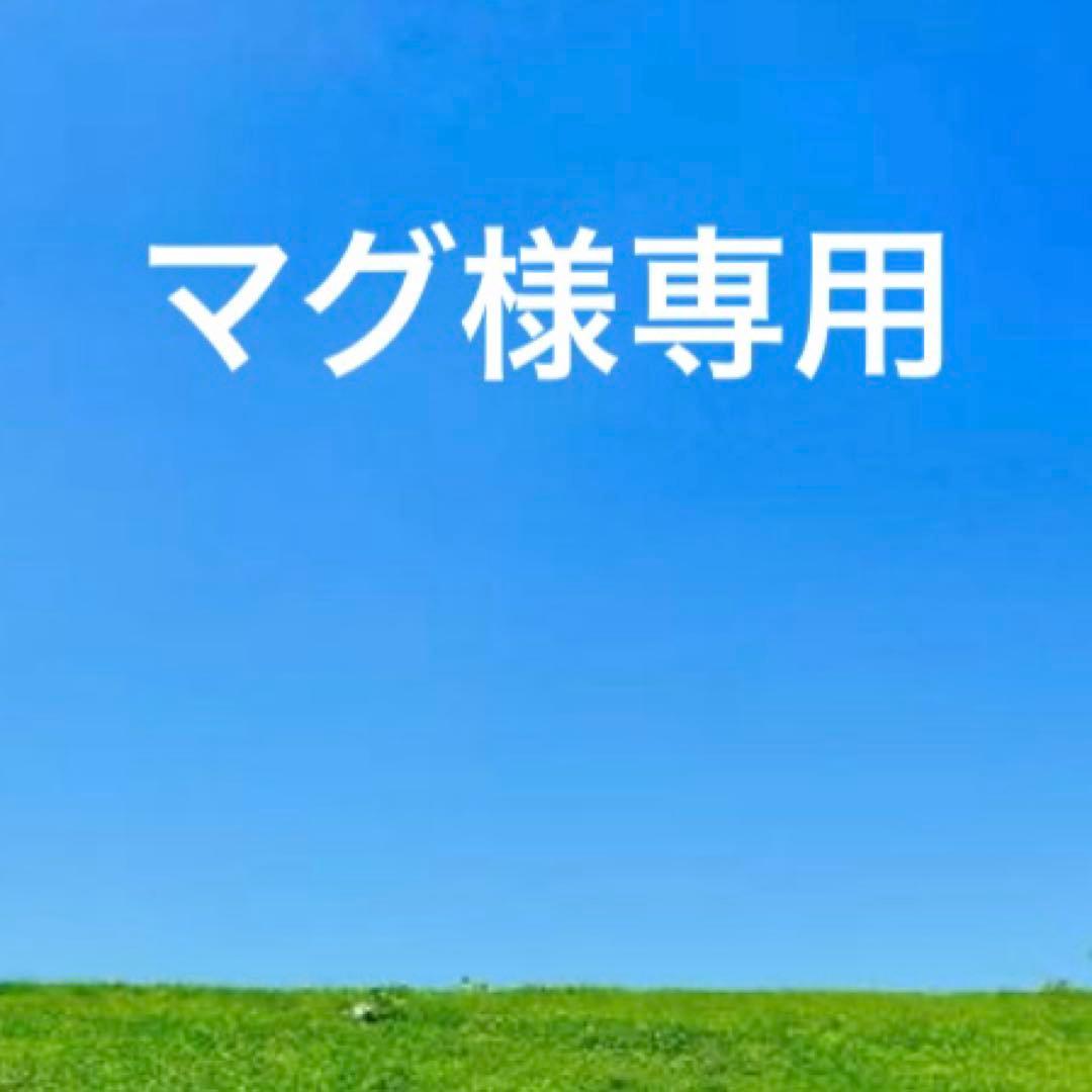 極美品IL BISONTEイルビゾンテ レザー二つ折り財布　コンチョ　オレンジ