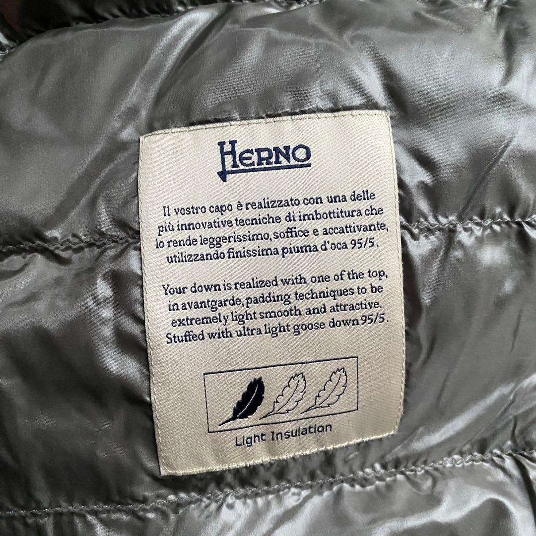 くみHerno ヘルノAMINTAアミンタ グレージュ ダウンジャケット