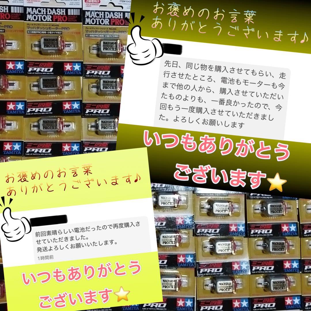 メガネ野トシページ高回転高トルクマッハダッシュ育成済みネオチャンプ2セット