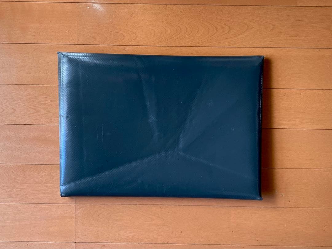 FREITAG F421 パソコンスリーブ